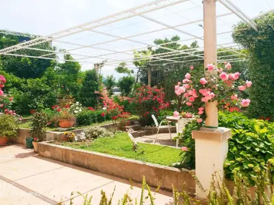 Outdoor