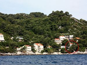 Ferienwohnung für 3 Personen (30 m²) in Mljet