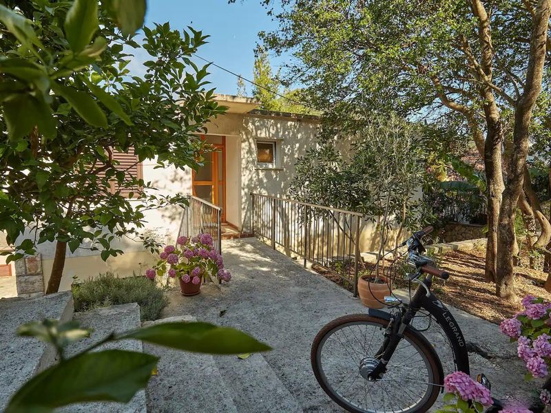 23993669-Ferienwohnung-4-Mljet-800x600-0