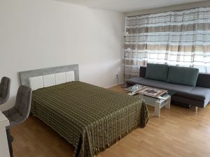 23648929-Ferienwohnung-3-Möhnesee-300x225-2