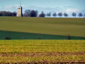 Ferienwohnung für 3 Personen (51 m²) in Möhnesee