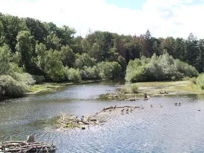 Ferienwohnung für 4 Personen (50 m²) in Möhnesee 10/10