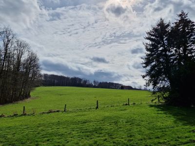 Ferienwohnung für 4 Personen (68 m²) in Möhnesee 3/10