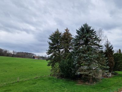 Ferienwohnung für 4 Personen (68 m²) in Möhnesee 4/10