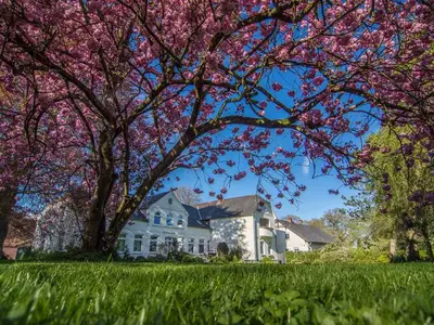 Ferienwohnung für 5 Personen (60 m²) in Mohrkirch 8/10