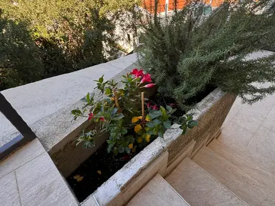 Ferienwohnung für 3 Personen (45 m²) in Mokošica 6/10