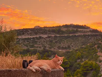 Ferienwohnung für 3 Personen (45 m²) in Mokošica 8/10