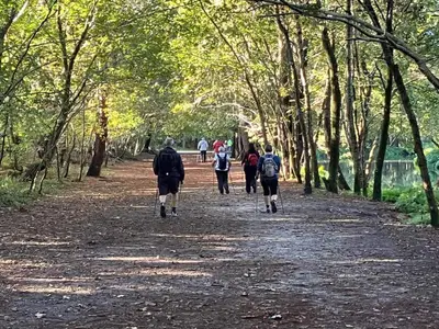 AreaSummer1KM