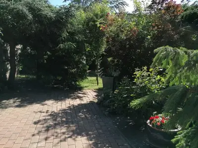 Ferienwohnung für 6 Personen (65 m²) in Möllenhagen 5/10