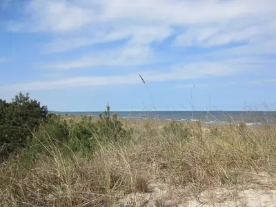 Ferienwohnung für 4 Personen (75 m²) in Mölschow 6/10