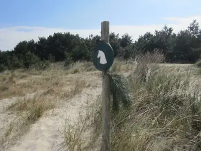 Ferienwohnung für 4 Personen (75 m²) in Mölschow 7/10