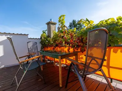 Ferienwohnung für 4 Personen (55 m²) in Mölschow 3/10