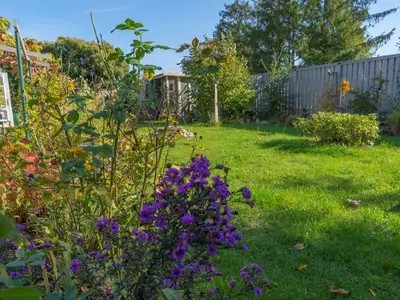 Ferienwohnung für 4 Personen (55 m²) in Mölschow 8/10