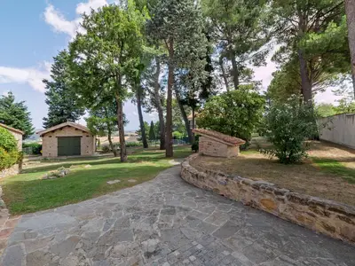 GardenSummer