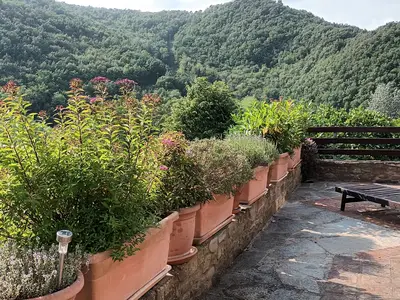 Ferienwohnung für 2 Personen (40 m²) in Monastero Bormida 6/10