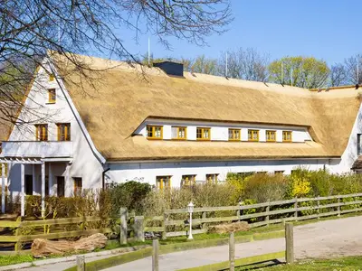 Ferienwohnung für 3 Personen (35 m²) in Alt Reddevitz 6/10
