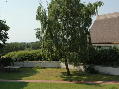 Ferienwohnung für 3 Personen (32 m²) in Alt Reddevitz 6/10