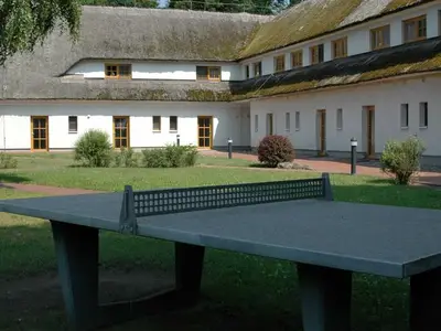 Ferienwohnung für 3 Personen (32 m²) in Alt Reddevitz 9/10