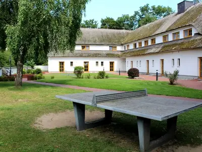 Ferienwohnung für 4 Personen (68 m²) in Alt Reddevitz 5/10