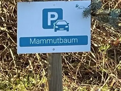 Ferienwohnung für 4 Personen (69 m²) in Mariendorf 10/10