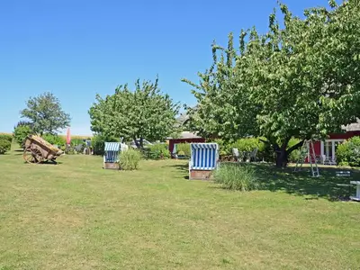 Ferienwohnung für 4 Personen (50 m²) in Alt Reddevitz 7/10