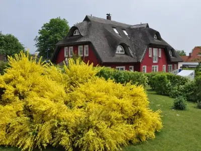 Ferienwohnung für 4 Personen (50 m²) in Alt Reddevitz 5/10