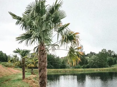 Ferienwohnung für 7 Personen (35 m²) in Monclar De Quercy 9/10