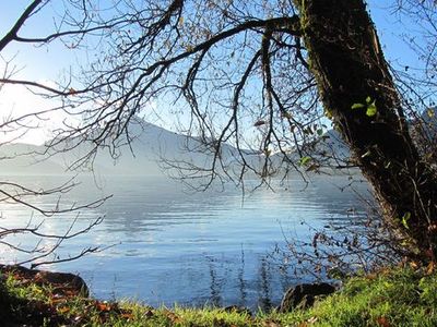 Ferienwohnung für 4 Personen (70 m²) in Mondsee 7/10