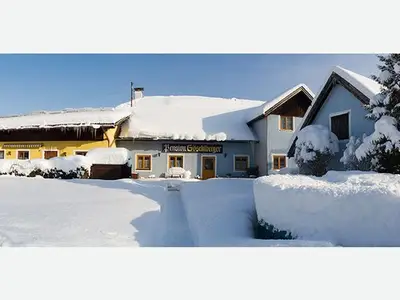 Ferienwohnung für 1 Person (30 m²) in Mondsee 8/10
