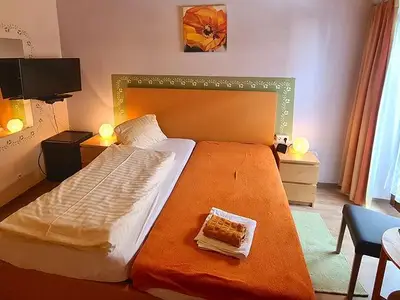 Ferienwohnung für 1 Person (16 m²) in Mondsee 9/9