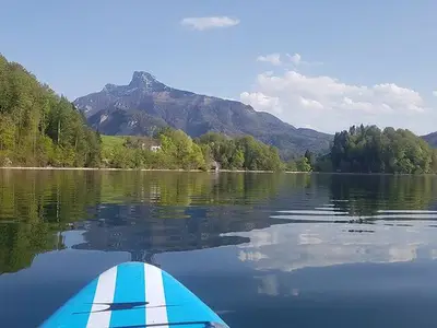 Ferienwohnung für 4 Personen (80 m²) in Mondsee 3/10