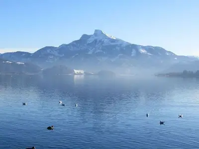 Ferienwohnung für 4 Personen (70 m²) in Mondsee 2/10