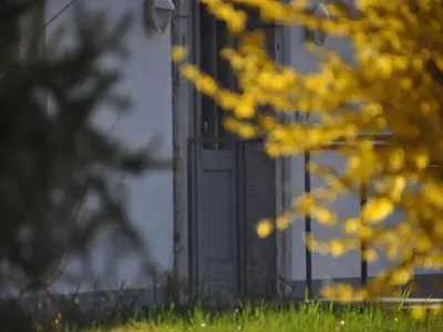 Ferienwohnung für 4 Personen (70 m²) in Mondsee 8/10