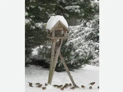 Ferienwohnung für 5 Personen (80 m²) in Mondsee 4/10