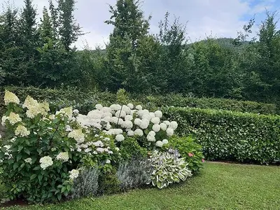 Ferienwohnung für 5 Personen (80 m²) in Mondsee 8/10