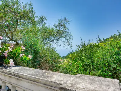 view-from-room