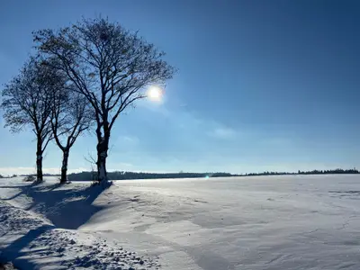 Wittesheim