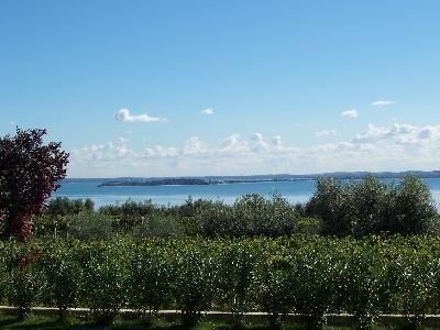 Ausblick aus dem Fenster