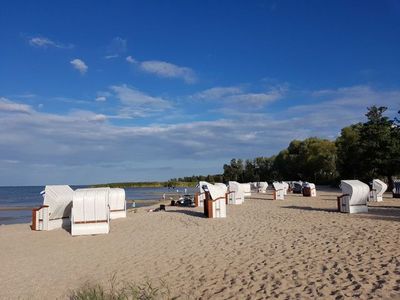 Ferienwohnung für 6 Personen (100 m²) in Mönkebude 10/10