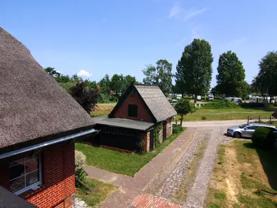 ViewSummer