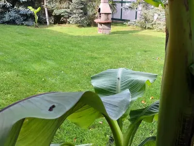 Ferienwohnung für 6 Personen (82 m²) in Mönkebude 6/10