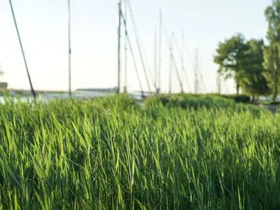 Ferienwohnung für 3 Personen (50 m²) in Mönkebude 4/10