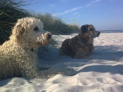 Ferienwohnung für 3 Personen (50 m²) in Mönkebude 9/10