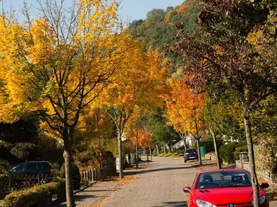 Walkmühle-Herbst2