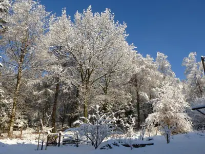 Winterwunderland