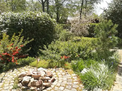 "Roder am Eifelsteig" Garten