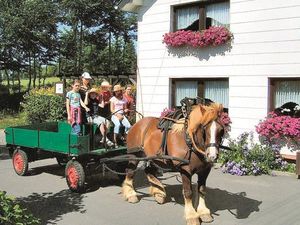 18706080-Ferienwohnung-4-Monschau-300x225-2