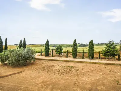 view-from-room