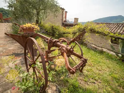 GardenSummer