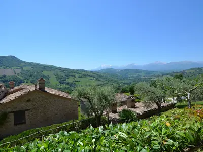 ViewSummer